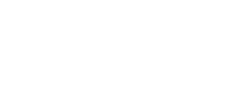 Borden Authority
