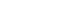 Troy Authority